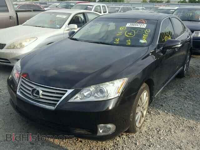 2012 LEXUS ES 350 - VIN: JTHBK1EG9C2488368 - Фото 2