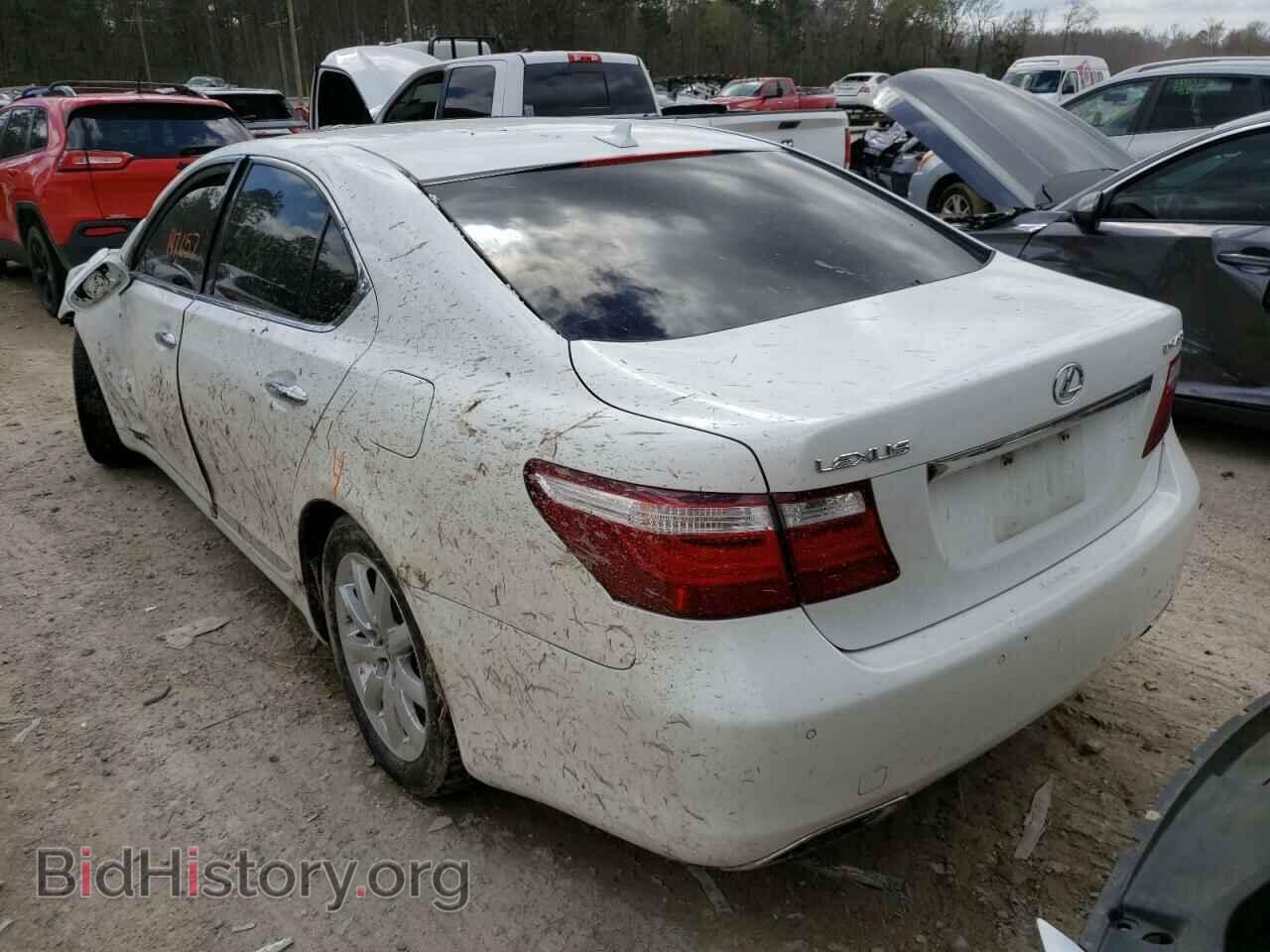 2009 LEXUS LS460 - VIN: JTHBL46F595087704 - Фото 3
