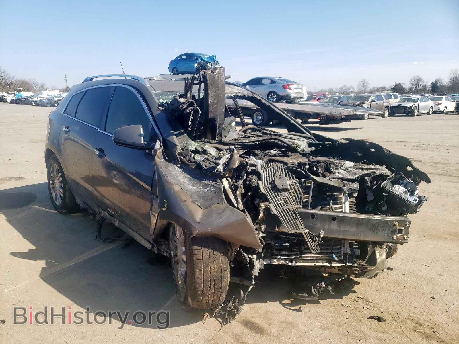 Фотография 3GYFNAEY7BS561897 - CADILLAC SRX 2011