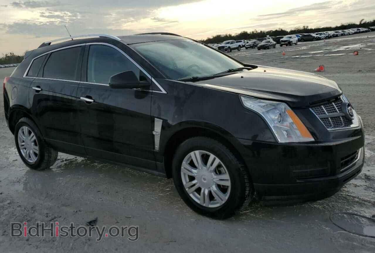2010 CADILLAC SRX - VIN: 3GYFNAEY6AS633039 - Фото 4