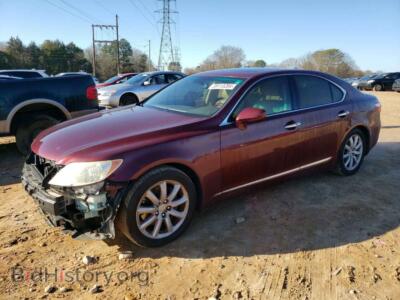 2007 Lexus LS460 460, burgundy — VIN JTHBL46F875050675, Copart