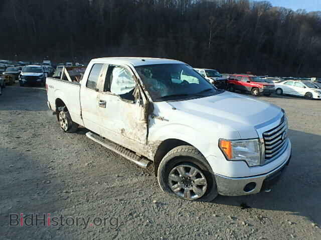 Фотография 1FTFX1EF9BFB28164 - FORD F150 2011