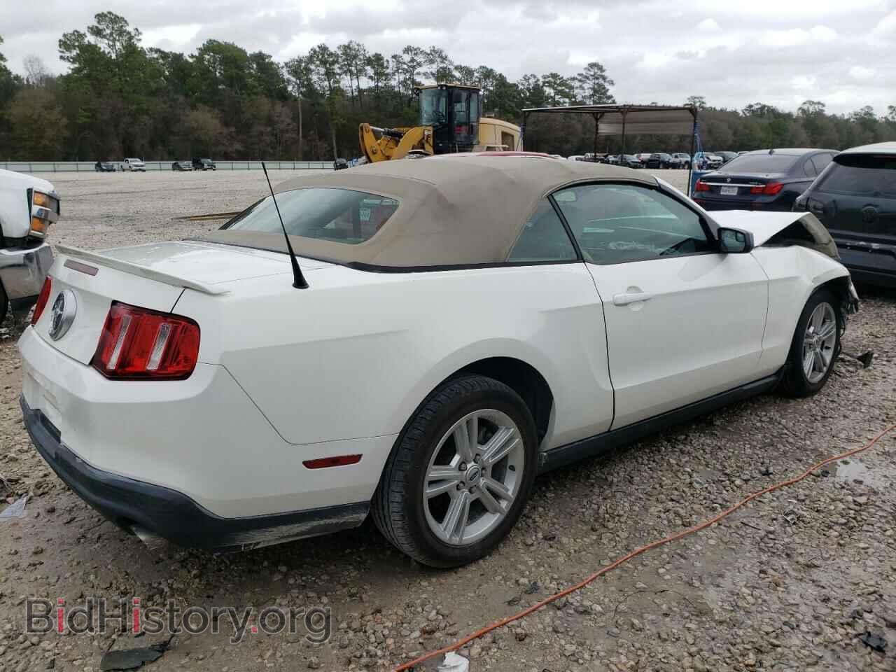 2011 FORD MUSTANG - VIN: 1ZVBP8EM5B5161607 - Фото 3