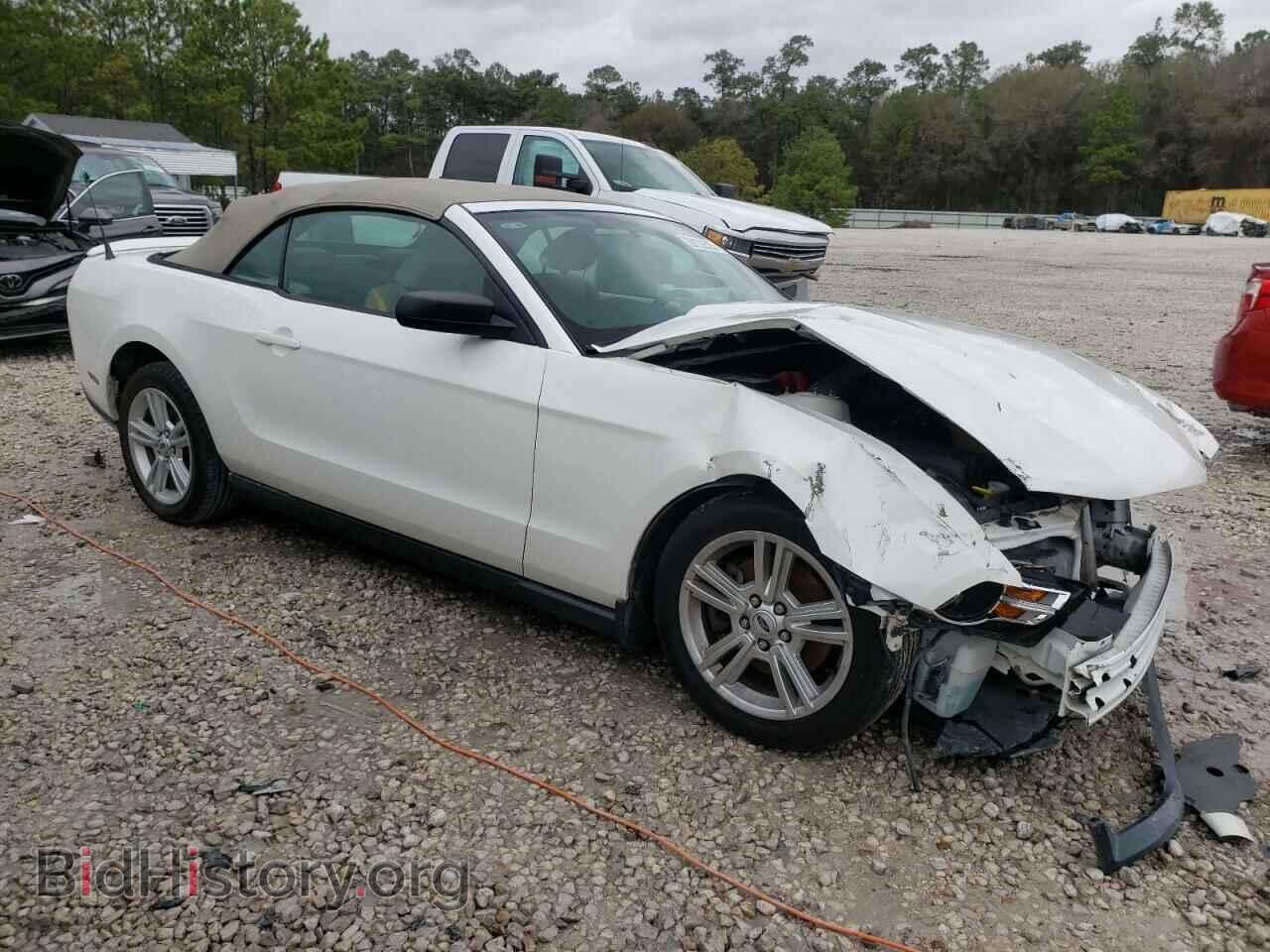 2011 FORD MUSTANG - VIN: 1ZVBP8EM5B5161607 - Фото 4