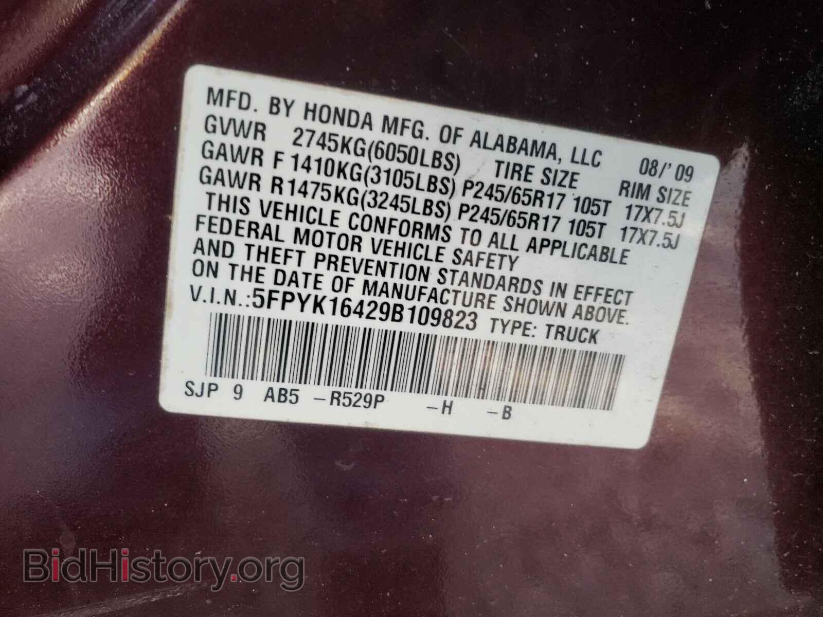 2009 HONDA RIDGELINE - VIN: 5FPYK16429B109823 - Фото 10