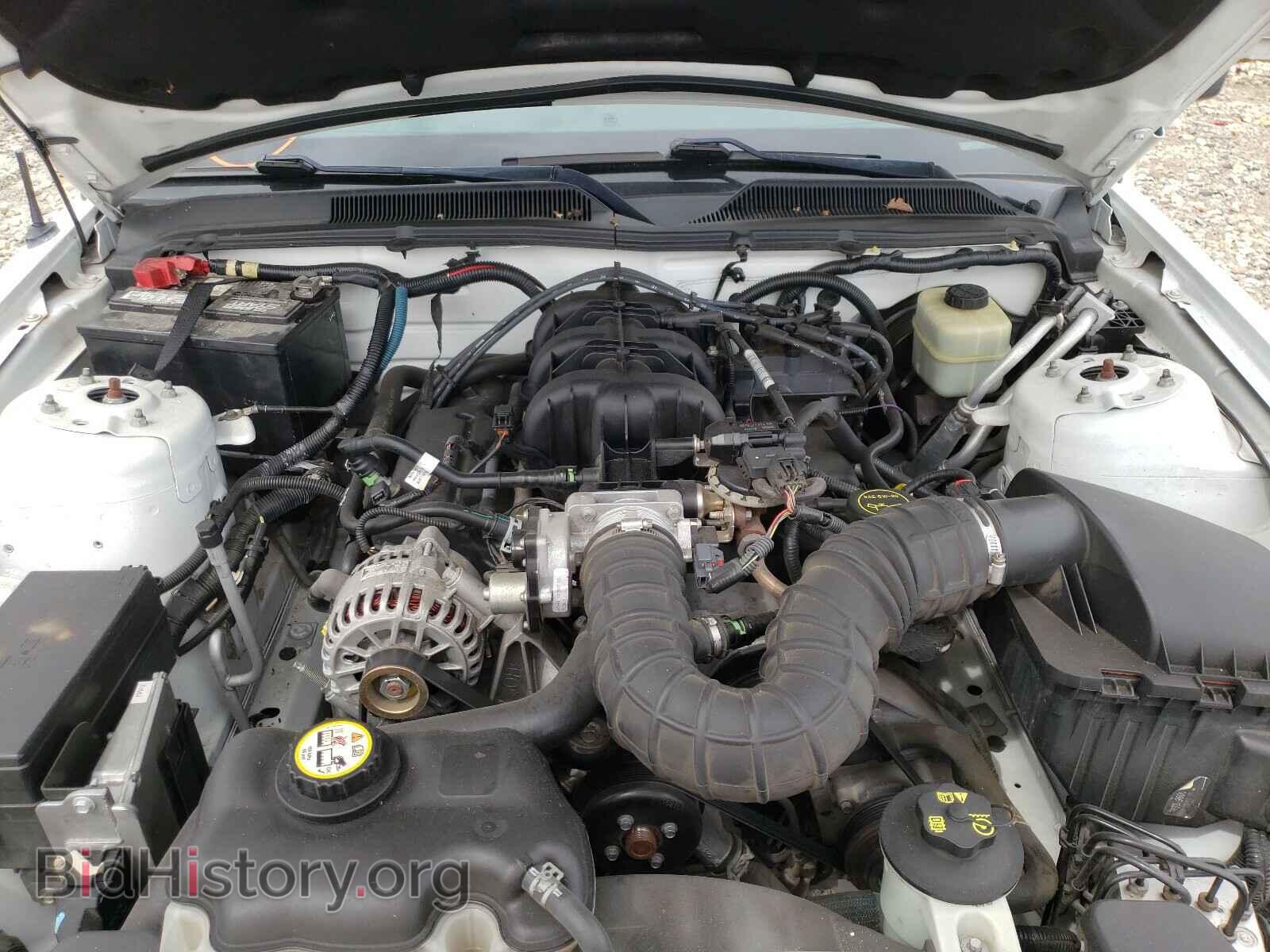 2007 FORD MUSTANG - VIN: 1ZVFT84N475201285 - Фото 7