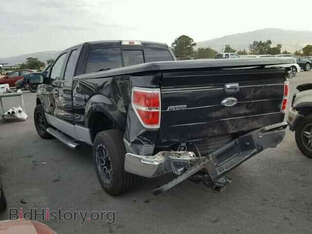 2013 FORD F150 - VIN: 1FTFX1CT8DFD08988 - Фото 3
