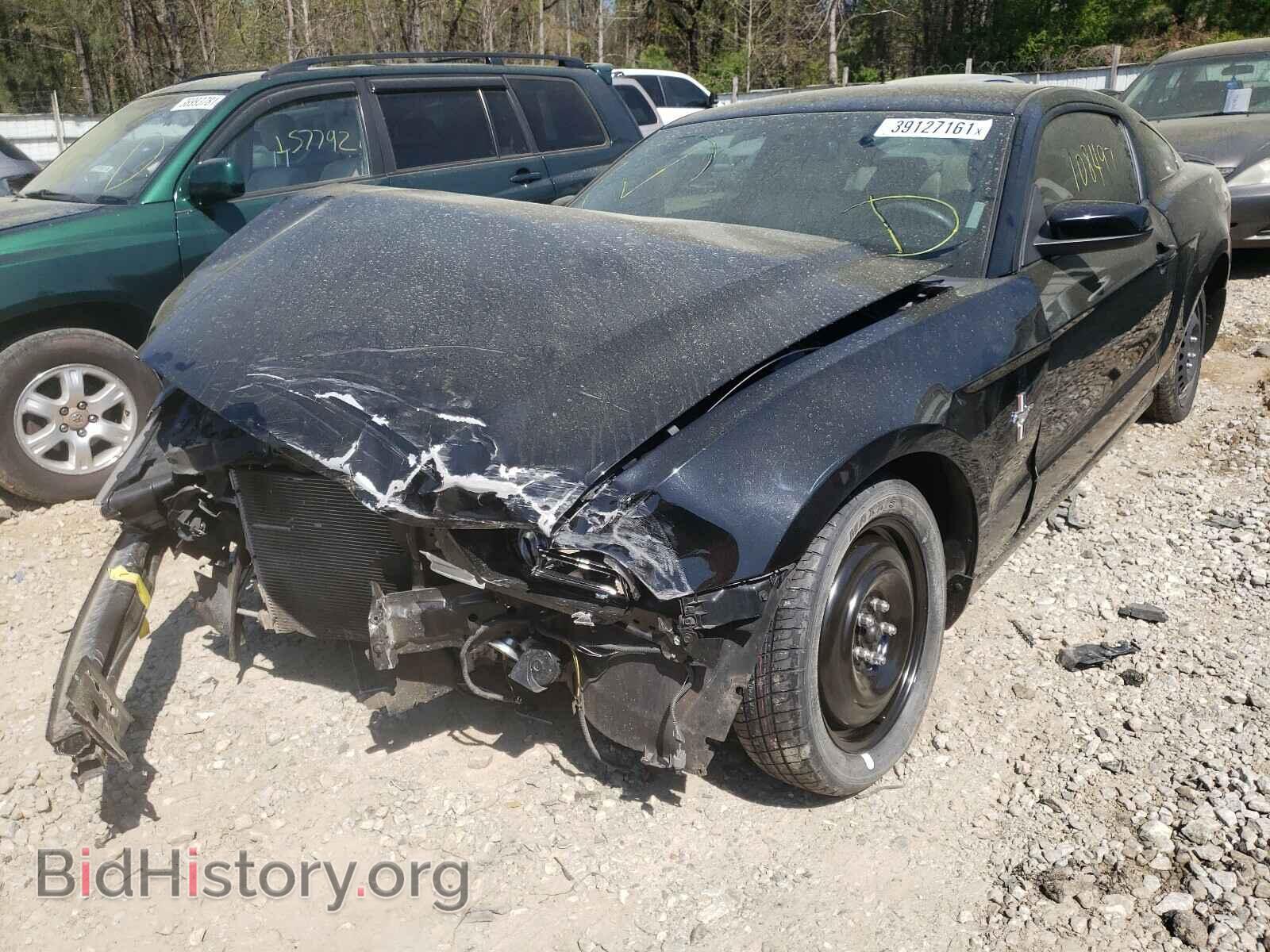 2013 FORD MUSTANG - VIN: 1ZVBP8AM3D5280975 - Фото 2