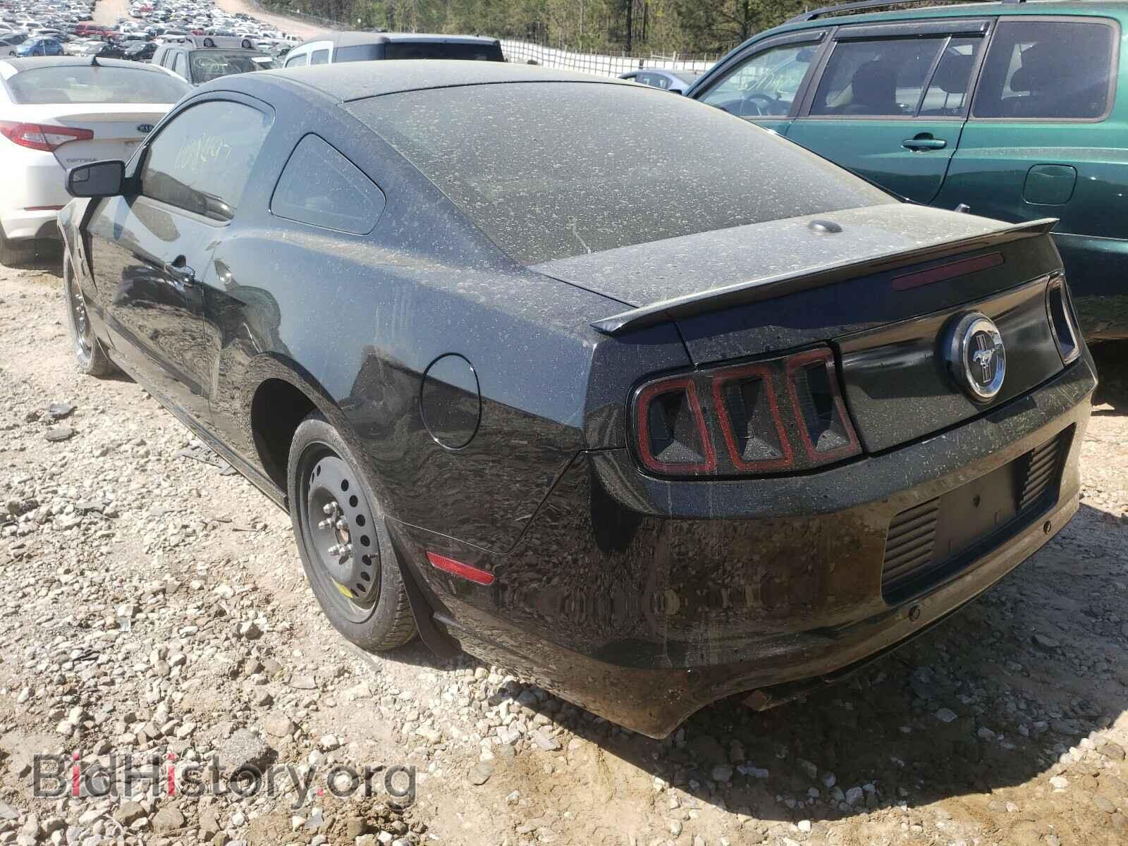2013 FORD MUSTANG - VIN: 1ZVBP8AM3D5280975 - Фото 3