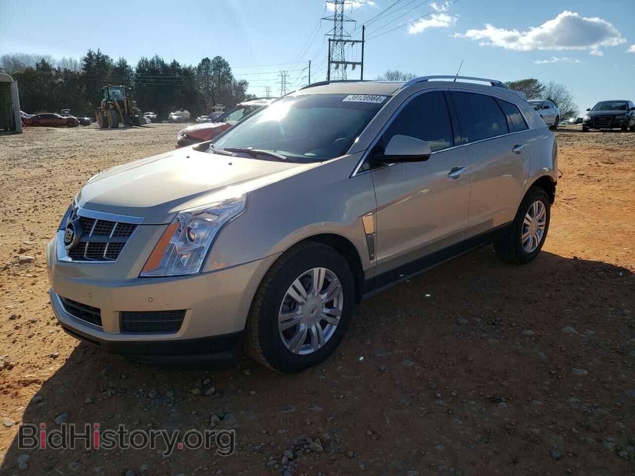 Фотография 3GYFNAEY6BS544489 - CADILLAC SRX 2011