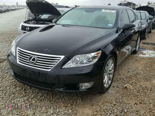 2010 LEXUS LS - VIN: JTHCL5EF6A5004944 - Photo 2