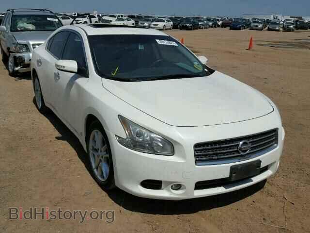 Фотография 1N4AA5AP7BC860527 - NISSAN MAXIMA 2011
