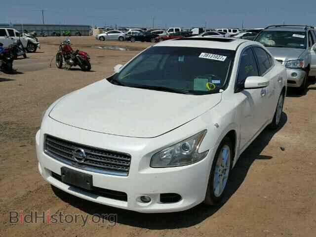 2011 NISSAN MAXIMA - VIN: 1N4AA5AP7BC860527 - Фото 2