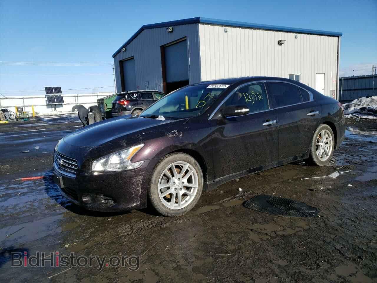 Фотография 1N4AA5AP5BC804537 - NISSAN MAXIMA 2011