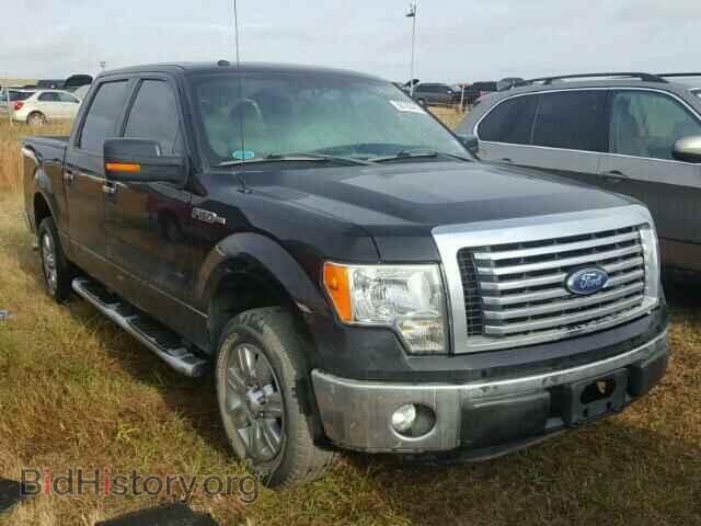 Фотография 1FTFW1CF5BFD08912 - FORD F150 2011