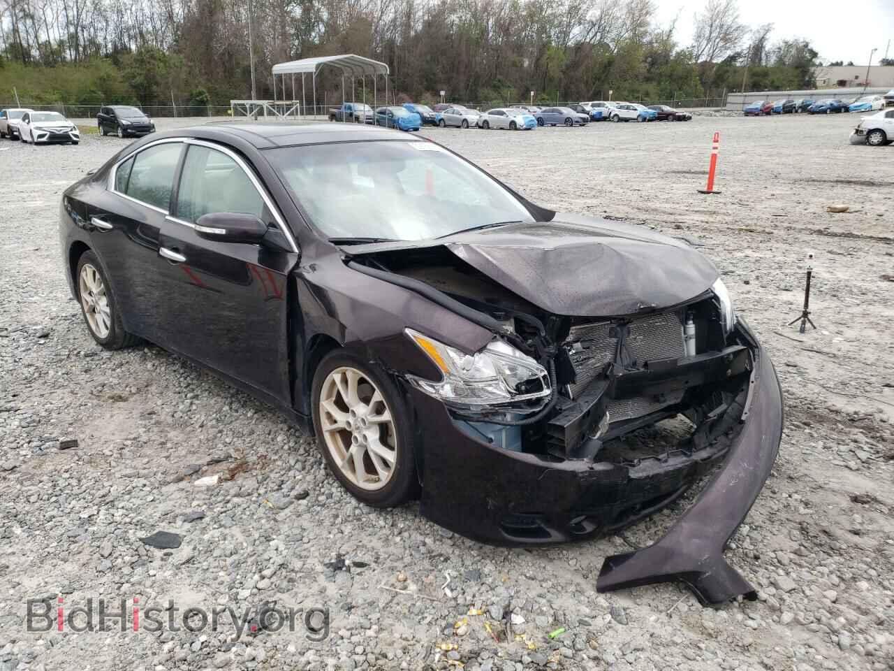 Фотография 1N4AA5AP5DC832762 - NISSAN MAXIMA 2013