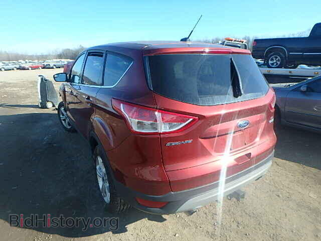 2014 FORD ESCAPE - VIN: 1FMCU0G94EUA91484 - Фото 3