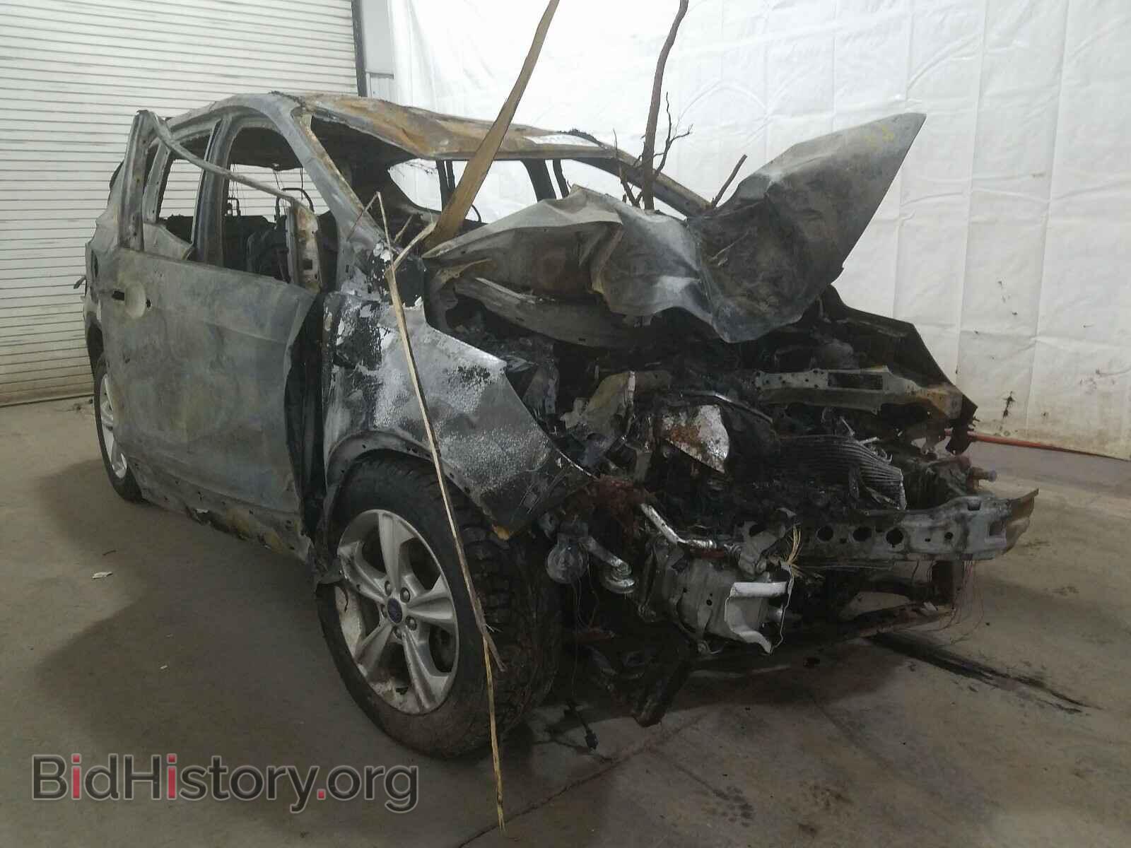 Photo 1FMCU9GX4EUD76009 - FORD ESCAPE 2014