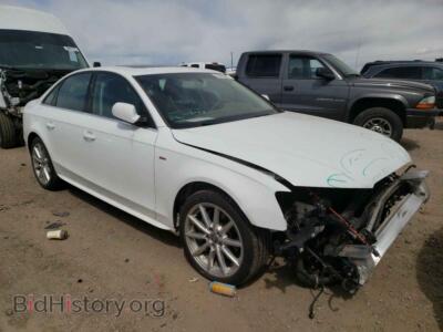 2014 Audi A4 A4 Premium, белый — VIN WAUFFAFL2EN019060, Copart