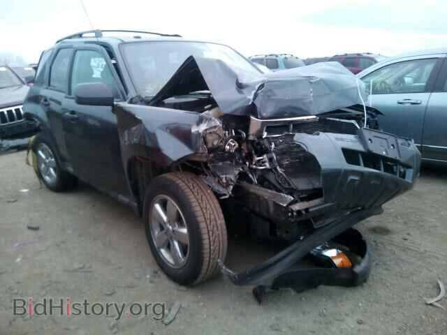Фотография 1FMCU03G39KD15558 - FORD ESCAPE 2009