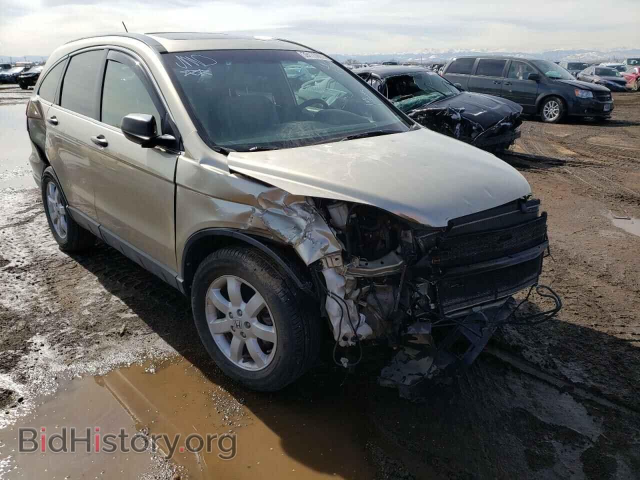 Photo JHLRE48557C083307 - HONDA CRV 2007