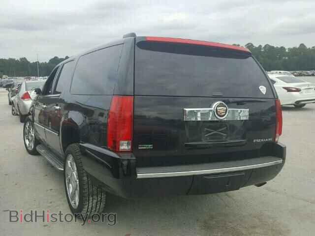 2011 CADILLAC ESCALADE - VIN: 1GYS4HEF2BR206020 - Фото 3