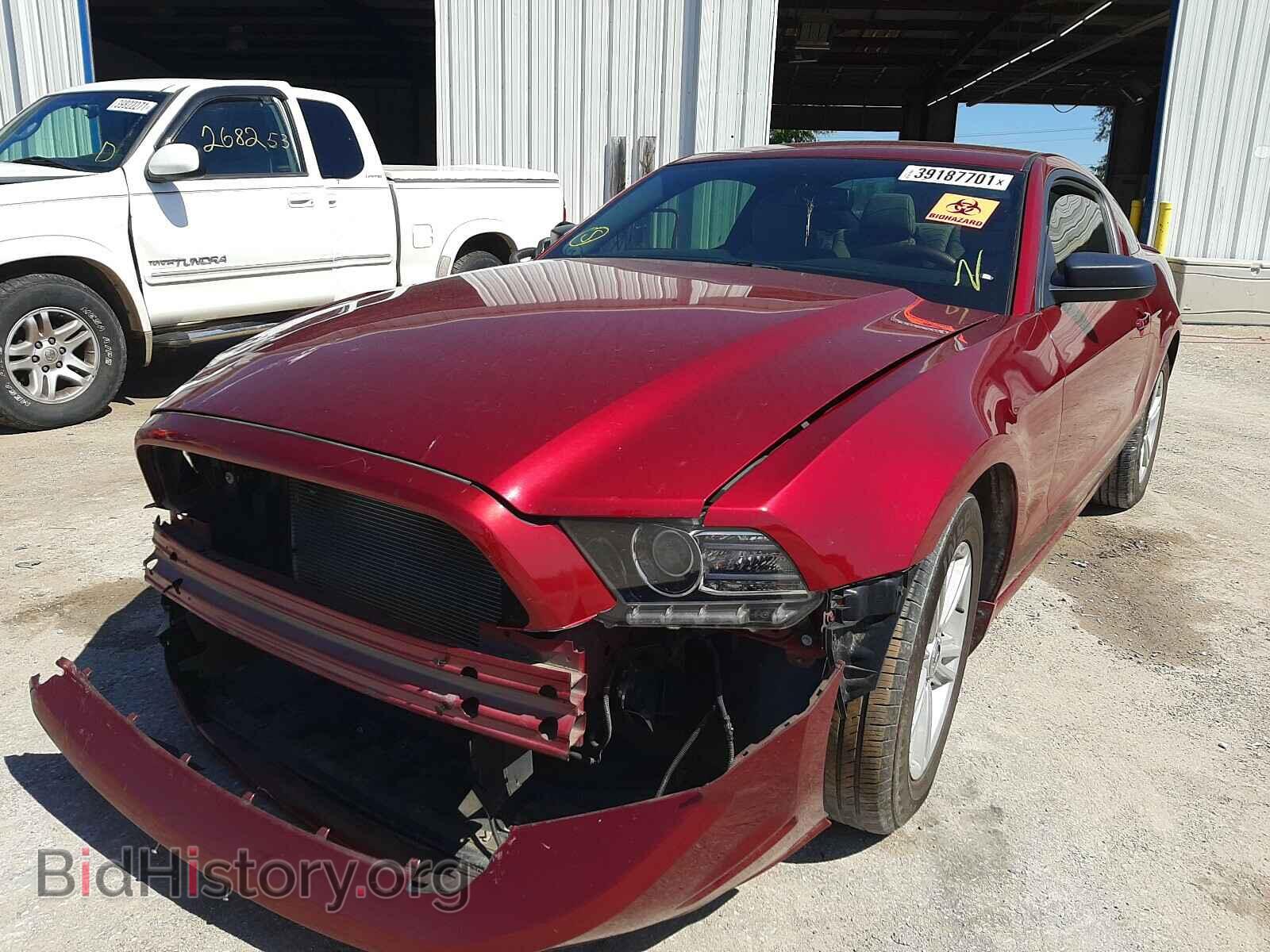2014 FORD MUSTANG - VIN: 1ZVBP8AM4E5249266 - Фото 2
