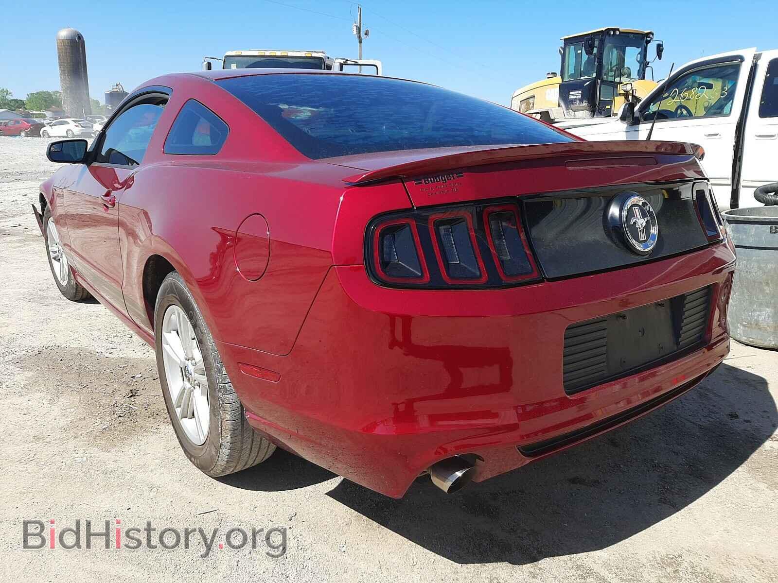 2014 FORD MUSTANG - VIN: 1ZVBP8AM4E5249266 - Фото 3