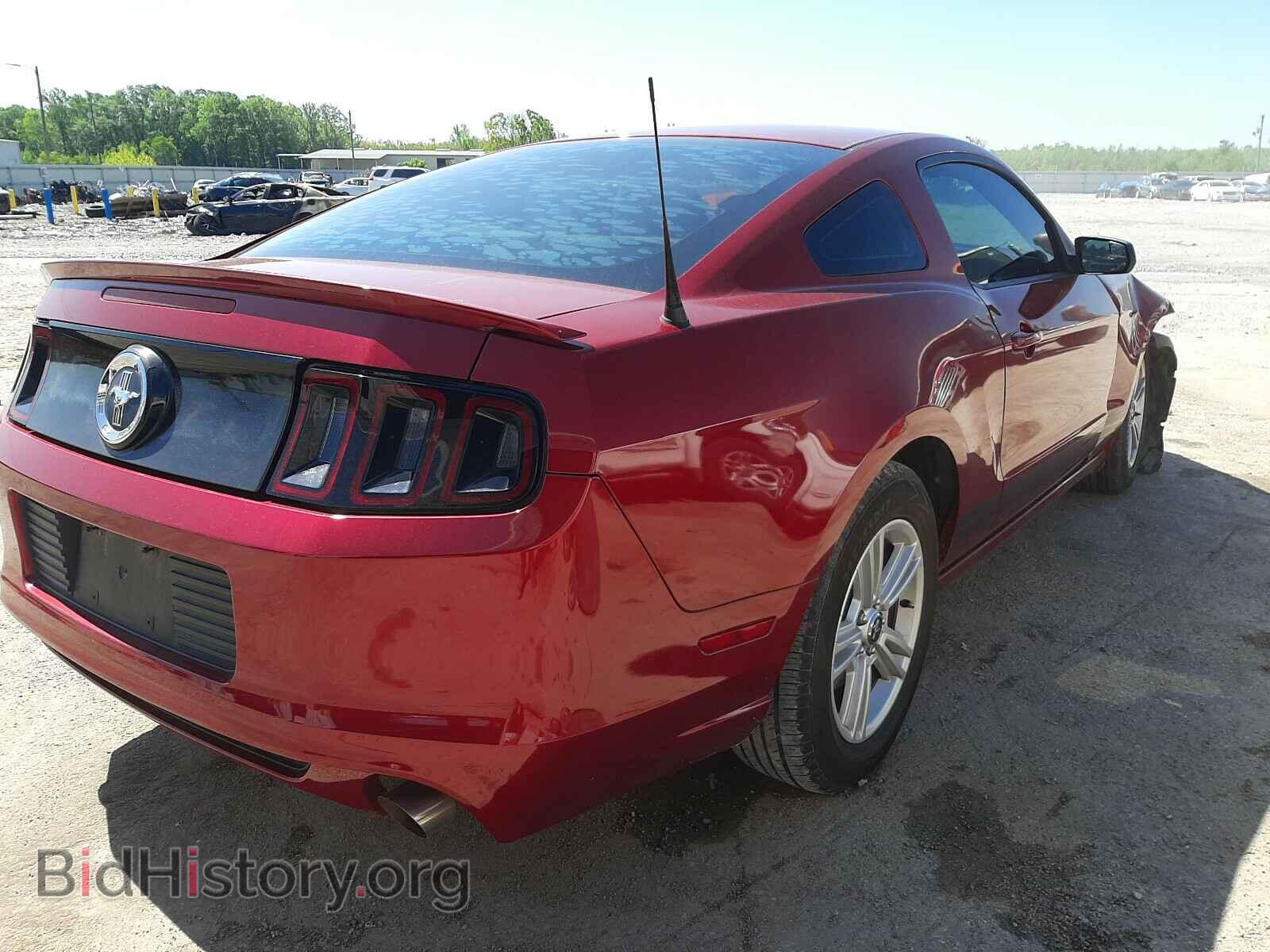 2014 FORD MUSTANG - VIN: 1ZVBP8AM4E5249266 - Фото 4