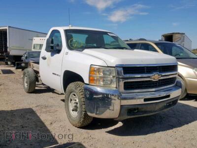 2009 Chevrolet SILVERADO, белый — VIN 1GBHK44699F153848, Copart
