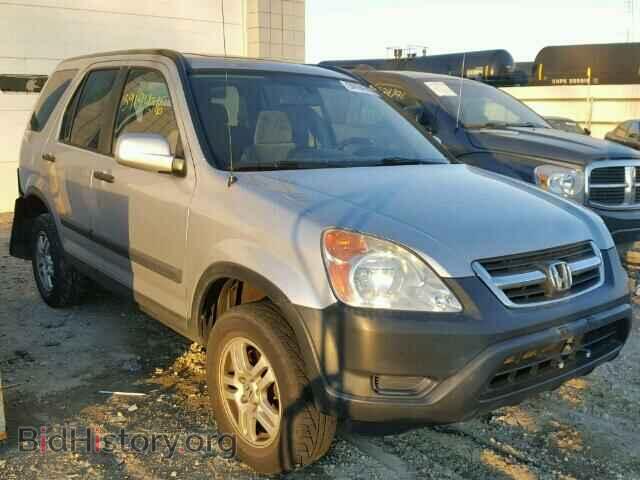 Photo JHLRD78863C024484 - HONDA CRV 2003