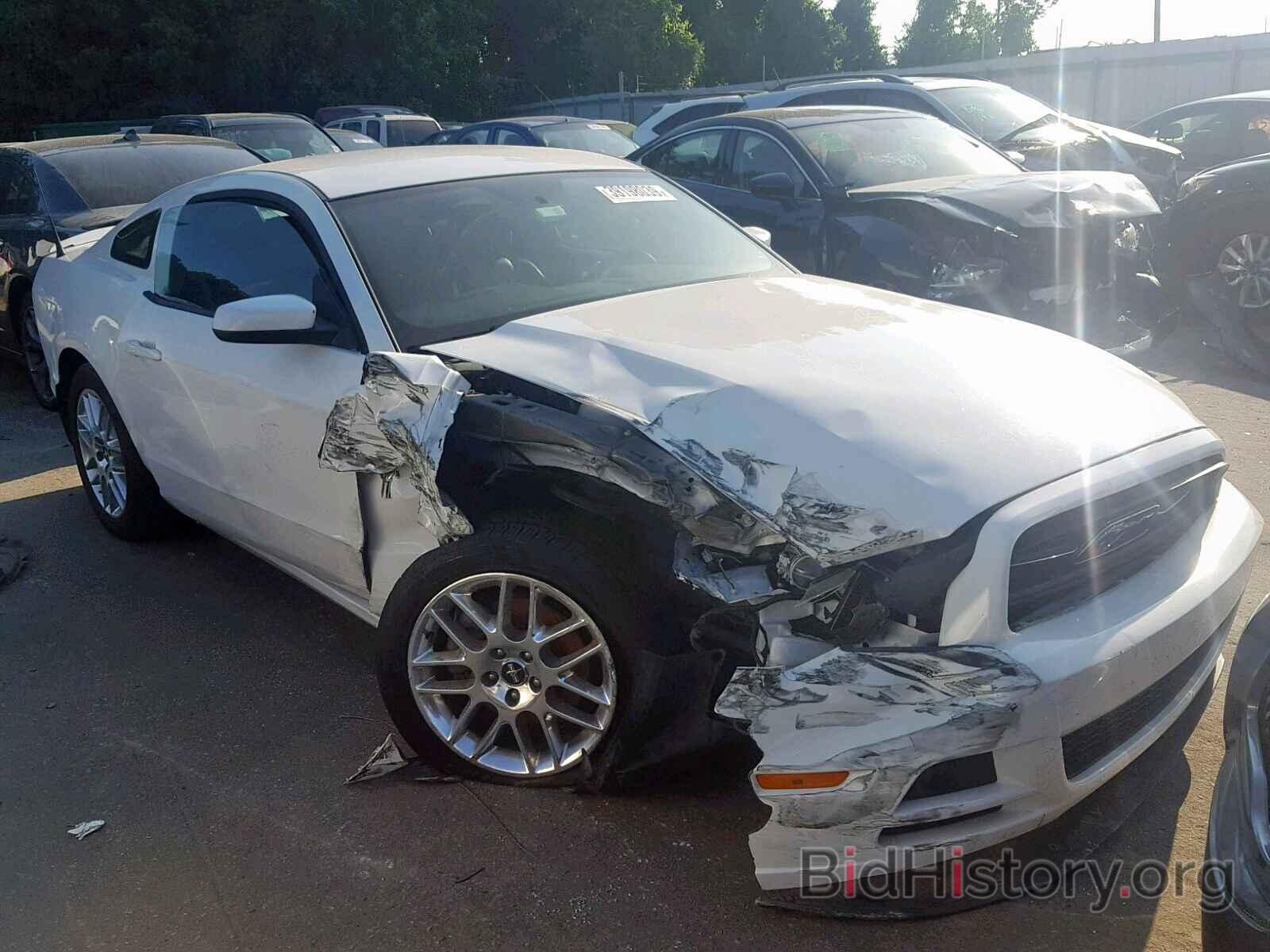 Photo 1ZVBP8AM8D5247048 - FORD MUSTANG 2013