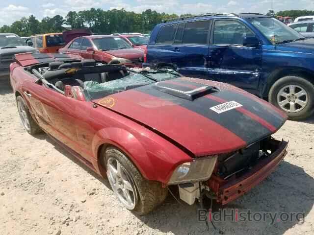 Photo 1ZVHT85H285159122 - FORD MUSTANG 2008