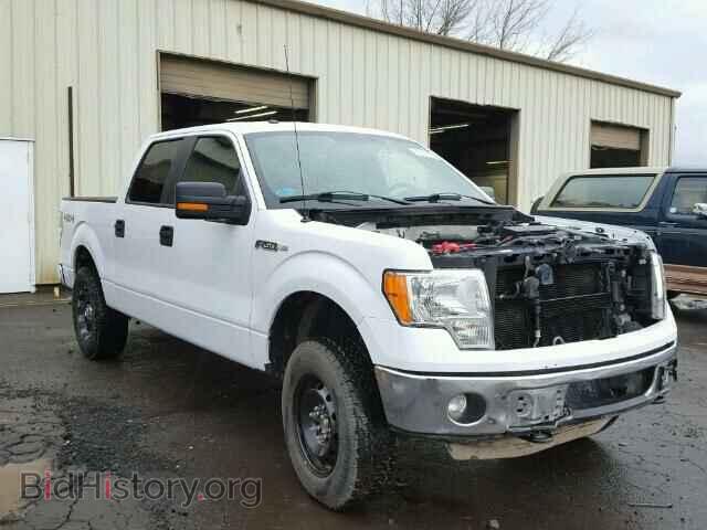 Фотография 1FTFW1EF8DFB77152 - FORD F150 2013