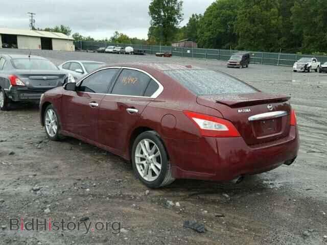 2010 NISSAN MAXIMA - VIN: 1N4AA5APXAC809716 - Фото 3