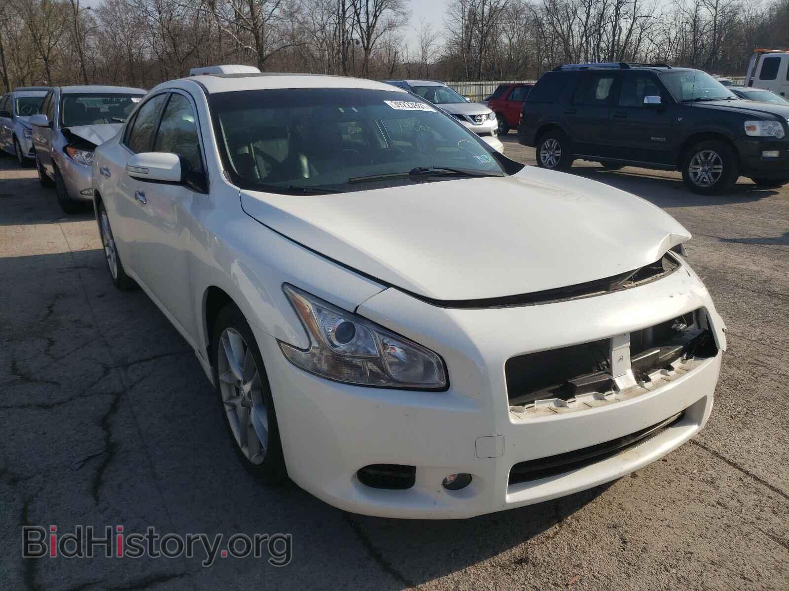 Photo 1N4AA5AP1AC846122 - NISSAN MAXIMA 2010