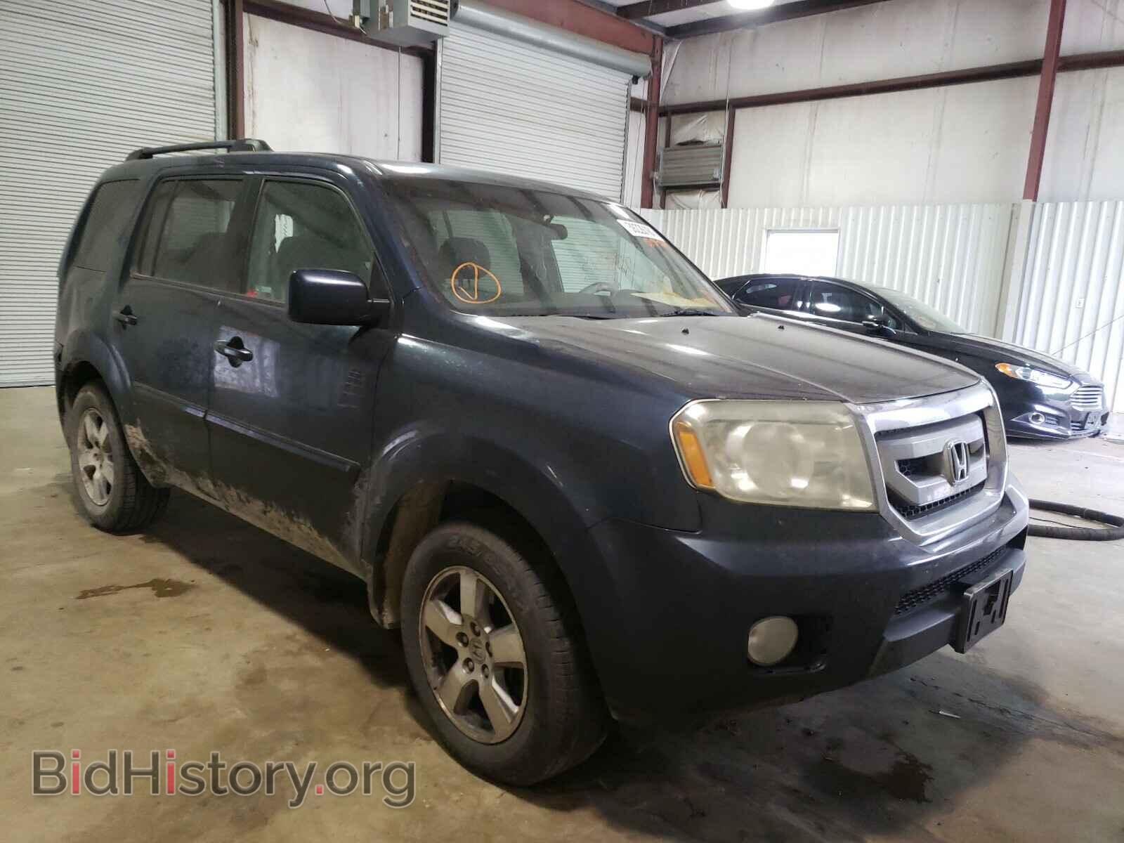 Фотография 5FNYF3H43BB015929 - HONDA PILOT 2011