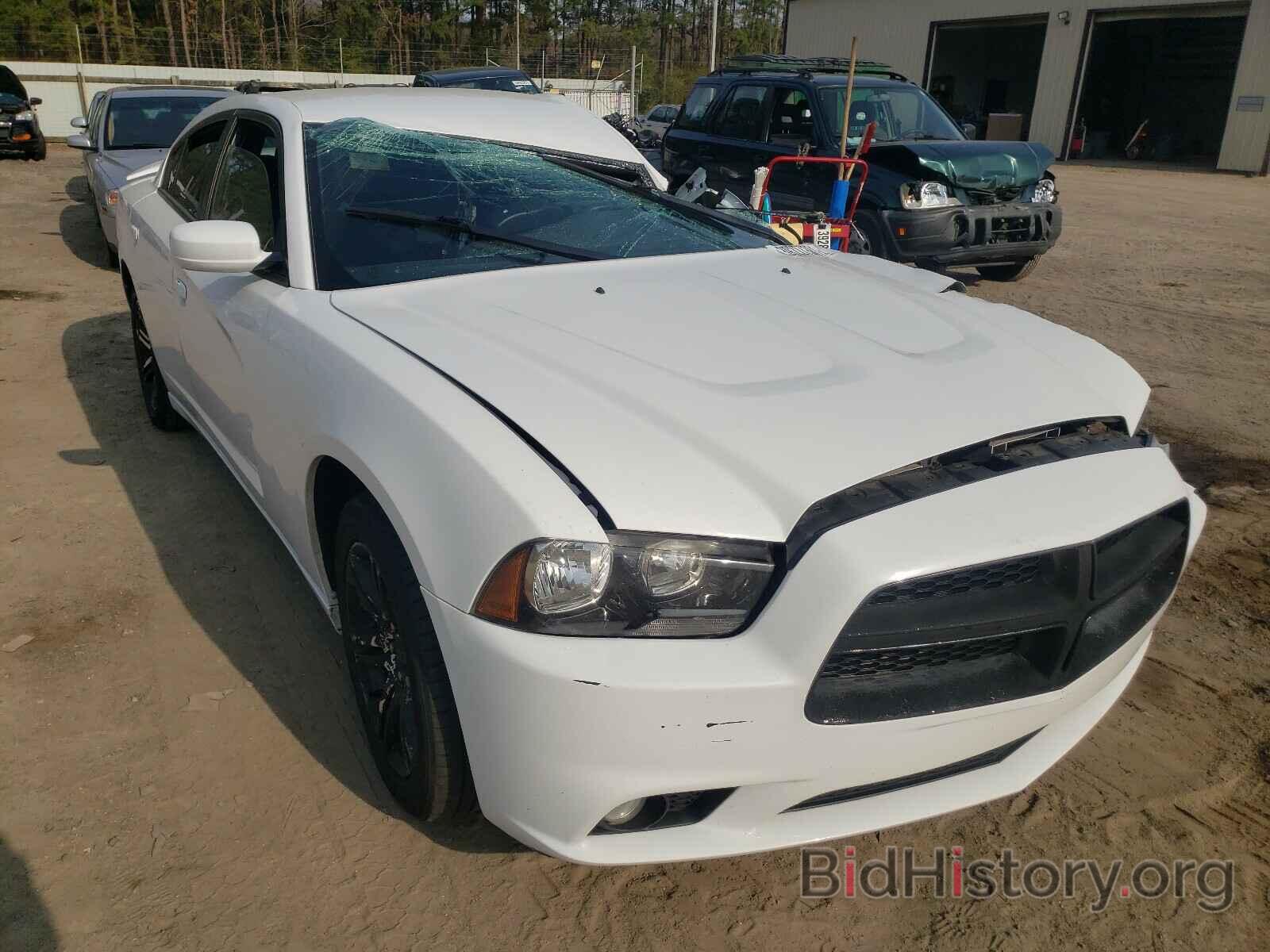 Photo 2C3CDXHG2DH512098 - DODGE CHARGER 2013