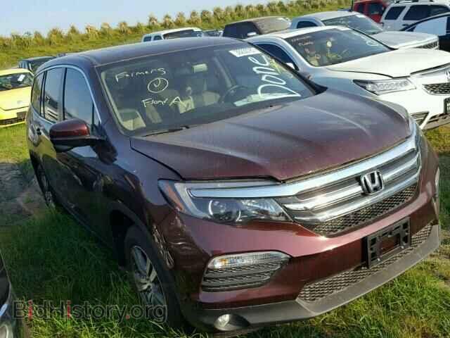 Photo 5FNYF5H52HB026000 - HONDA PILOT 2017