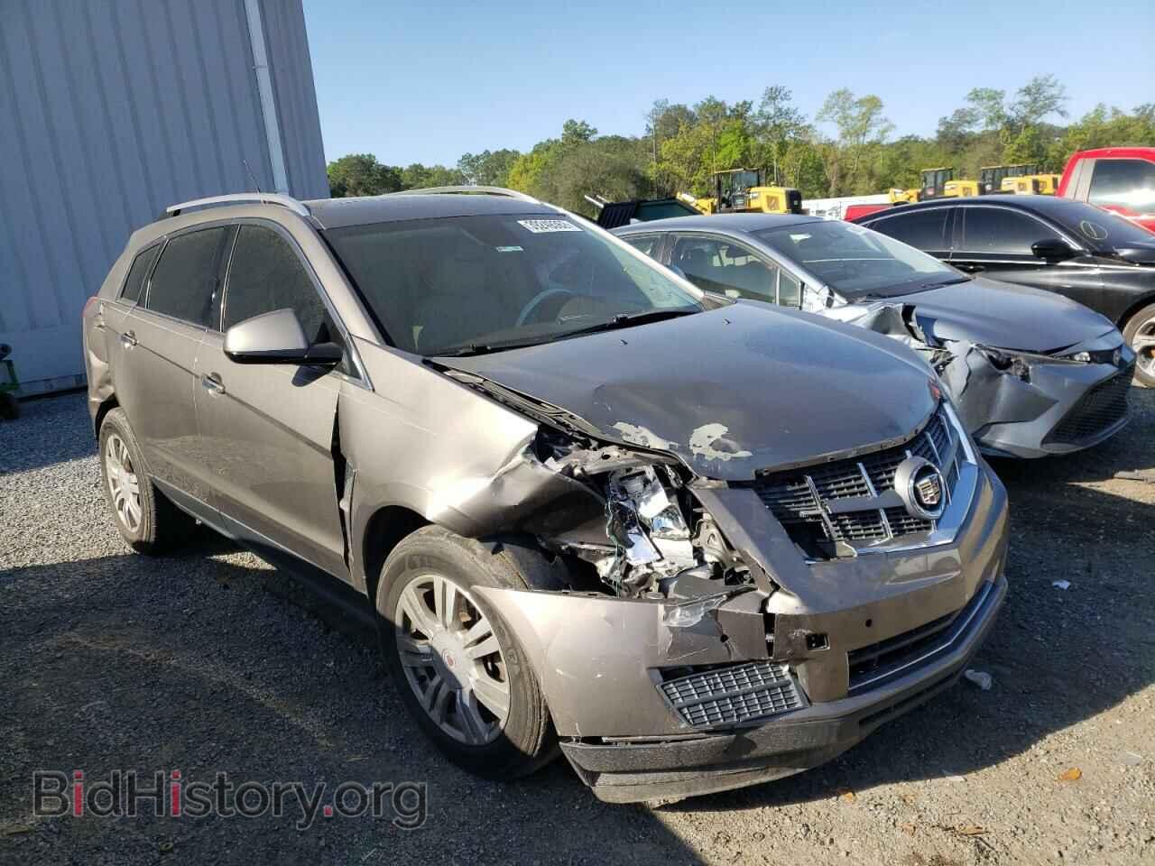 Фотография 3GYFNAE36CS579104 - CADILLAC SRX 2012