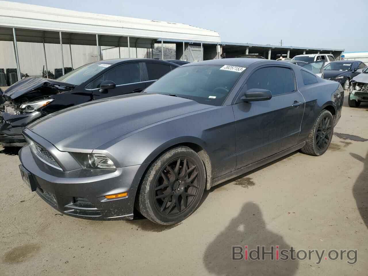 Photo 1ZVBP8AM8E5239789 - FORD MUSTANG 2014