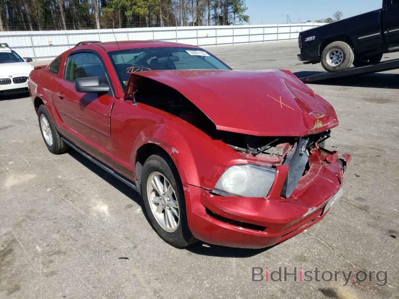 Photo 1ZVHT80N485207314 - FORD MUSTANG 2008