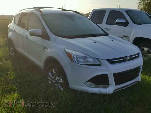 Фотография 1FMCU0H95DUC44659 - FORD ESCAPE 2013