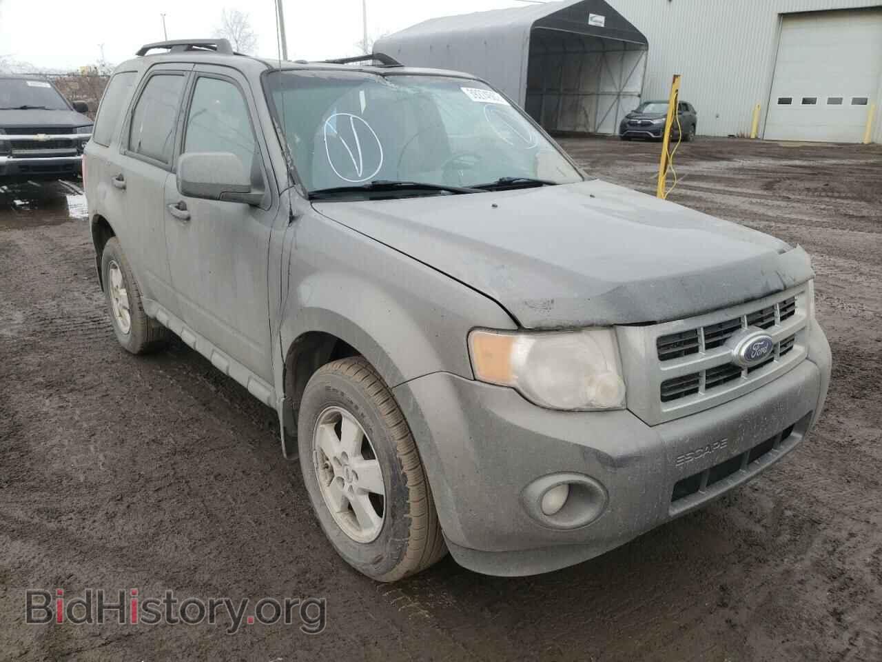 Фотография 1FMCU0DG3BKB87004 - FORD ESCAPE 2011
