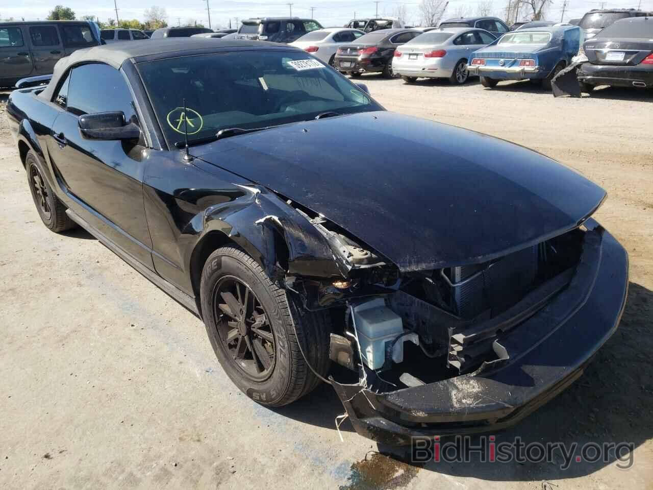Photo 1ZVHT84N565133327 - FORD MUSTANG 2006