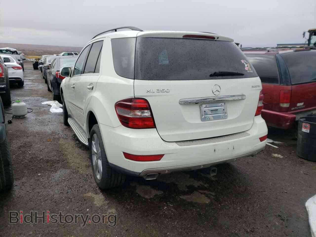 2010 MERCEDES-BENZ M-CLASS - VIN: 4JGBB2FB8AA598093 - Фото 3
