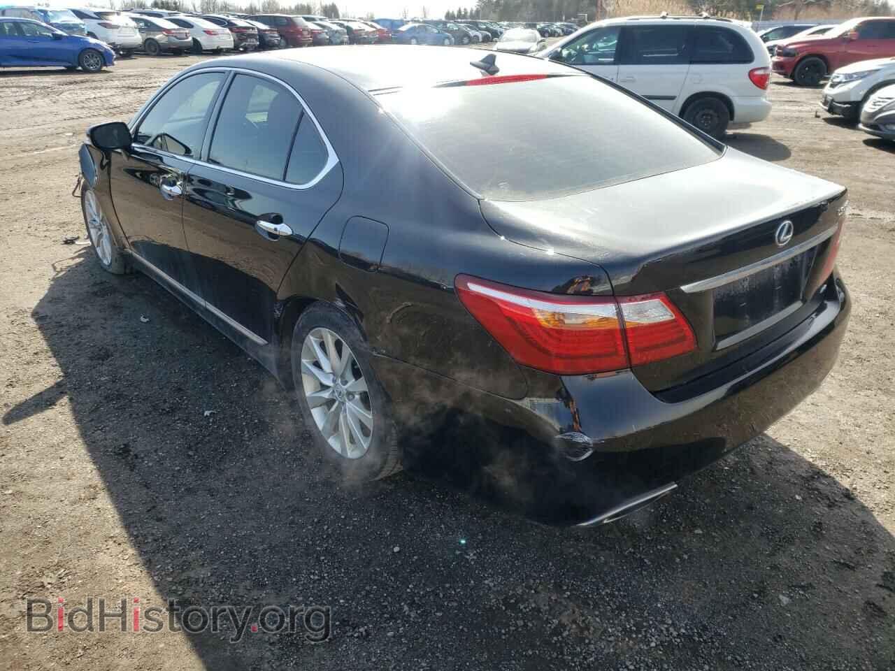 2011 LEXUS LS460 - VIN: JTHCL1EFXB5010871 - Фото 3