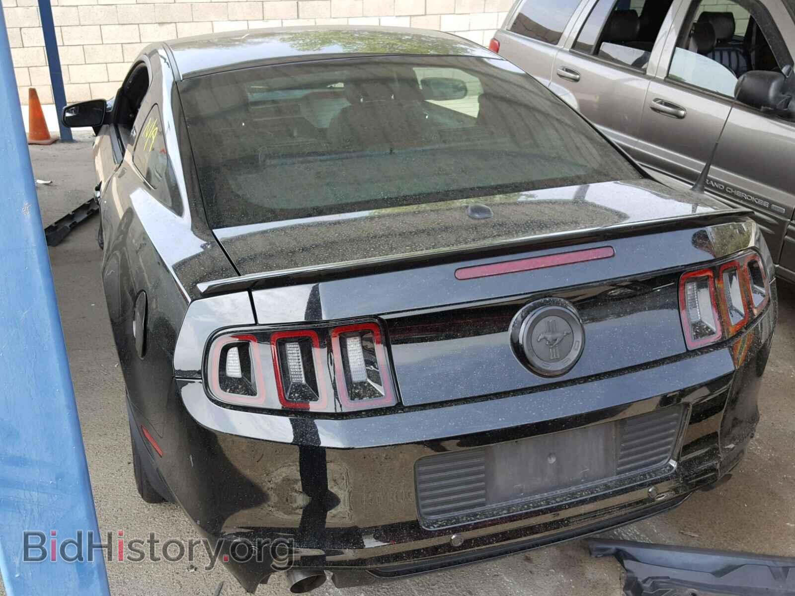 2013 FORD MUSTANG - VIN: 1ZVBP8AM4D5259553 - Фото 3