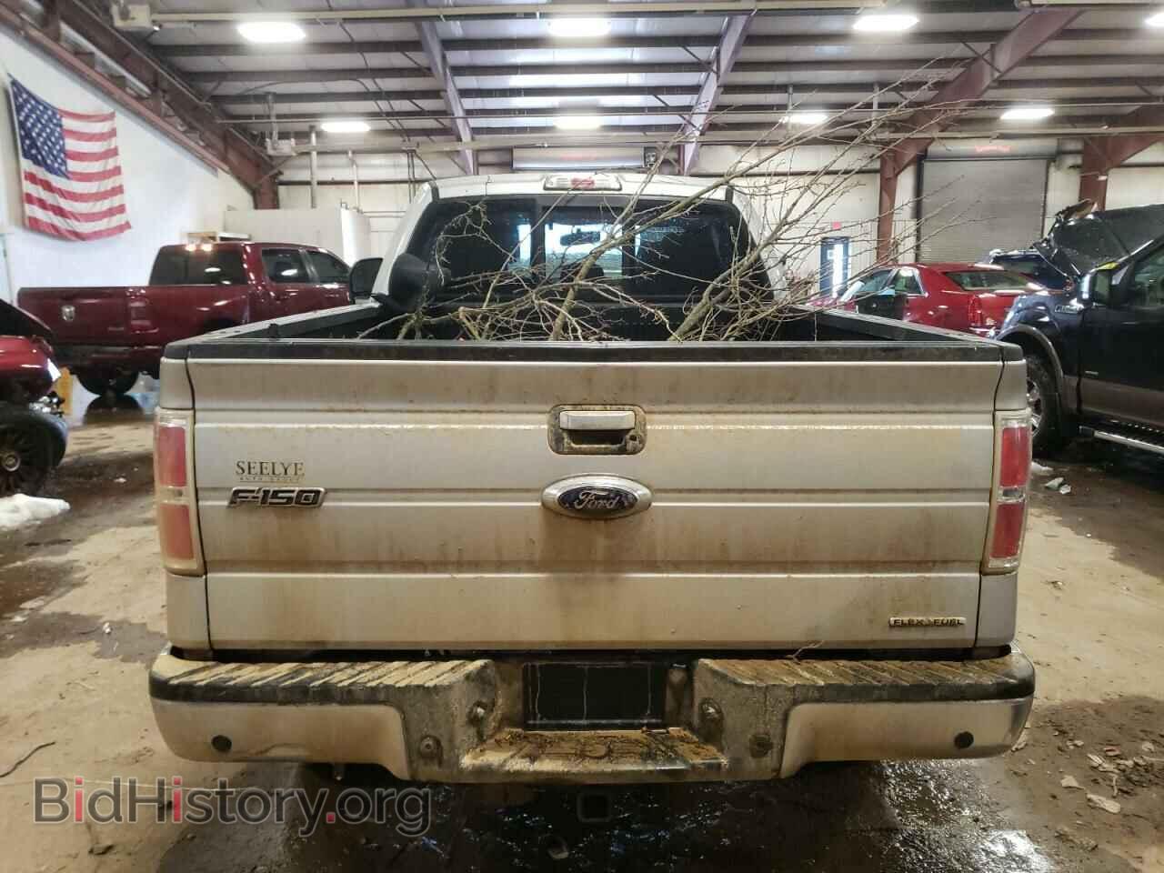 2013 FORD F-150 - VIN: 1FTFX1EF9DKF92498 - Фото 6