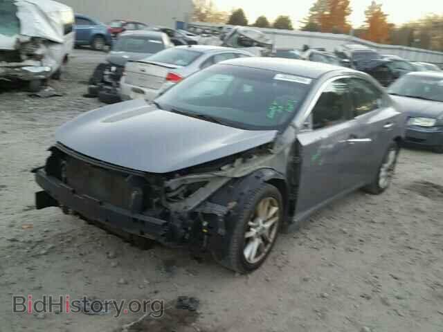 2009 NISSAN MAXIMA - VIN: 1N4AA51E79C856969 - Фото 2